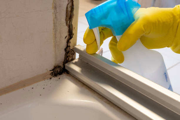 Best Water Damage & Mold Remediation  in Elk Grove, CA